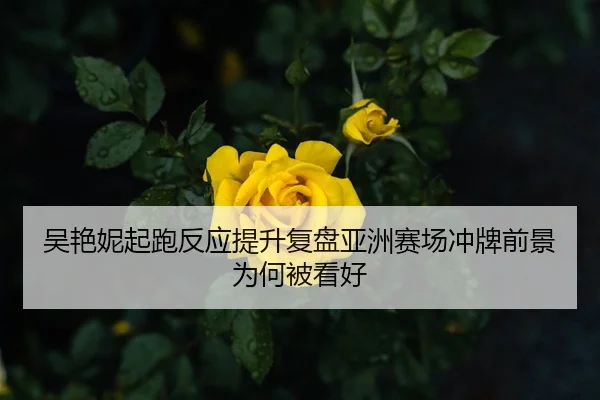 吴艳妮起跑反应提升复盘亚洲赛场冲牌前景为何被看好